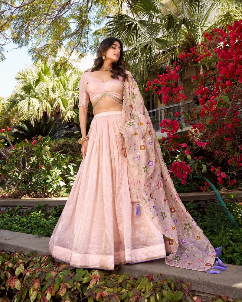 Light Pink Color Gold Crush Lehenga Choli