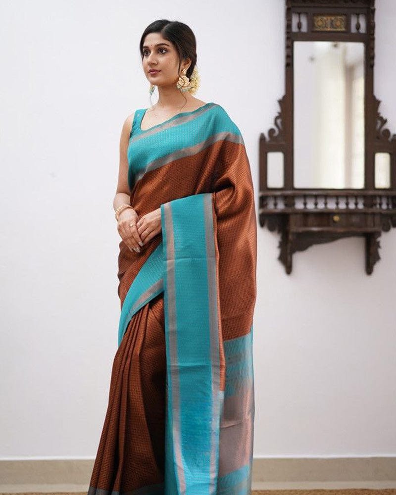 Sky Blue And Brown Color Soft Banarasi Silk Saree