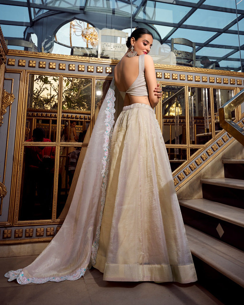 Cream Color Gold Crush Lehenga Choli