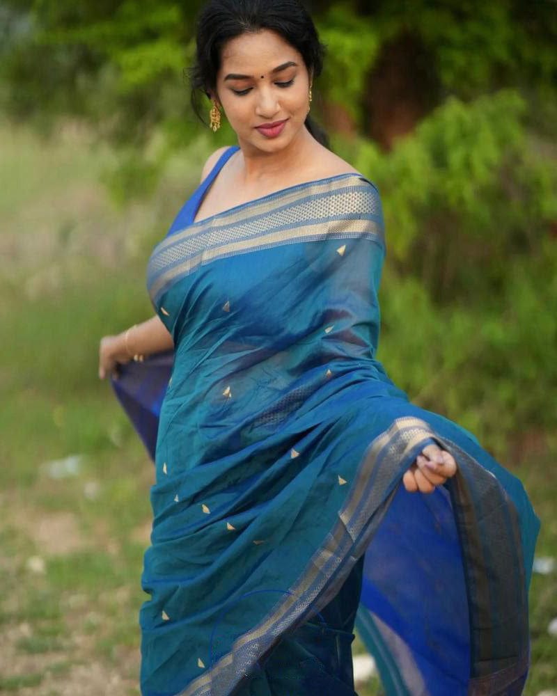 Blue Kanjivaram Silk Saree With Exclusive Jacquard Border