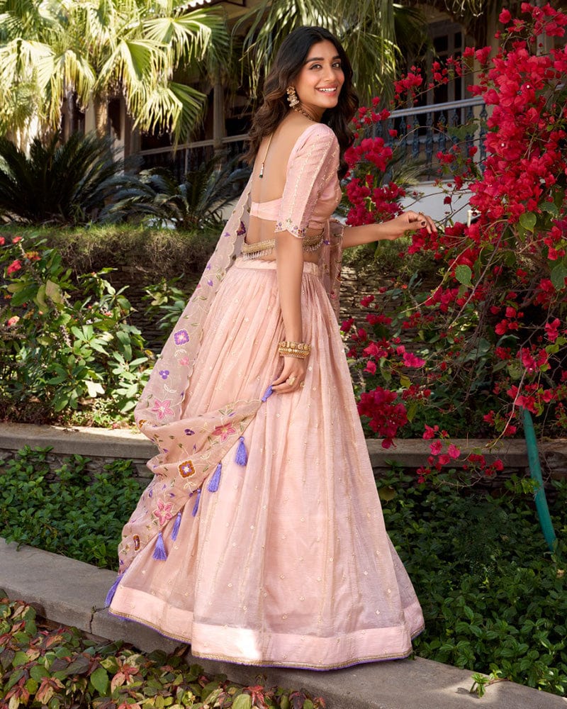 Light Pink Color Gold Crush Lehenga Choli